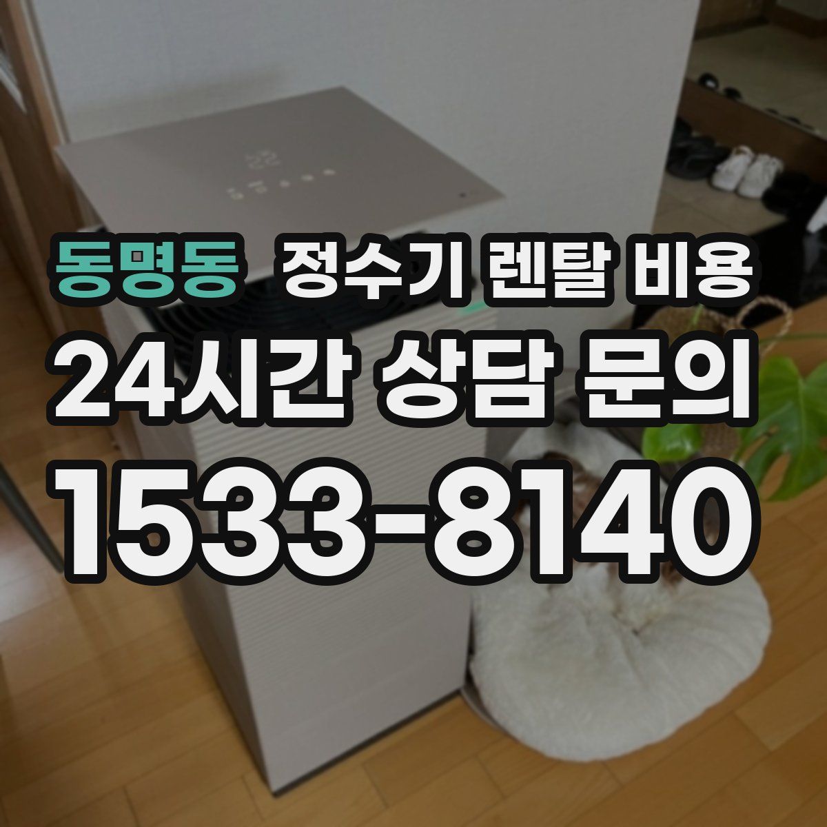 동명동 정수기 렌탈 비용