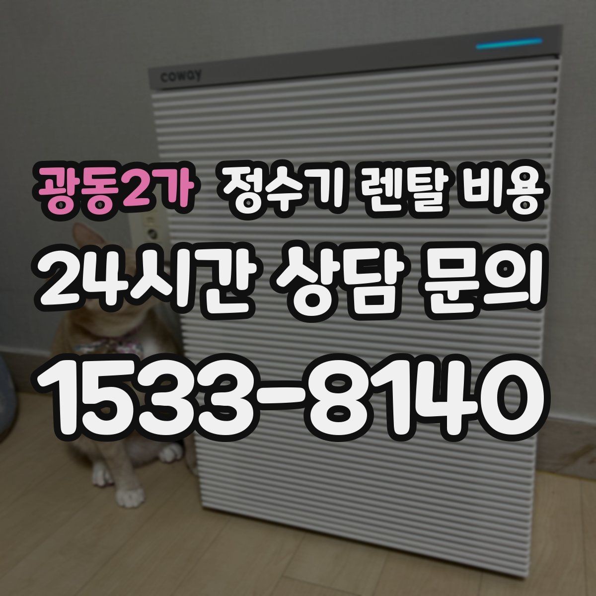 광동2가 정수기 렌탈 비용 냉수 사용이 많은 집의 선택 기준