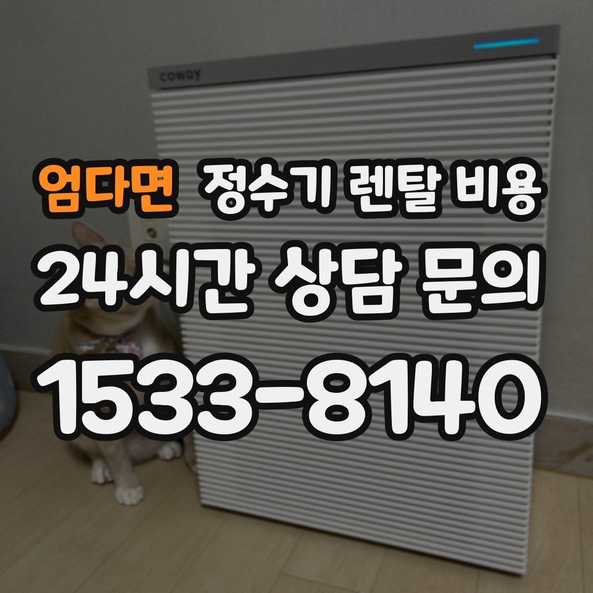 엄다면 정수기 렌탈 비용