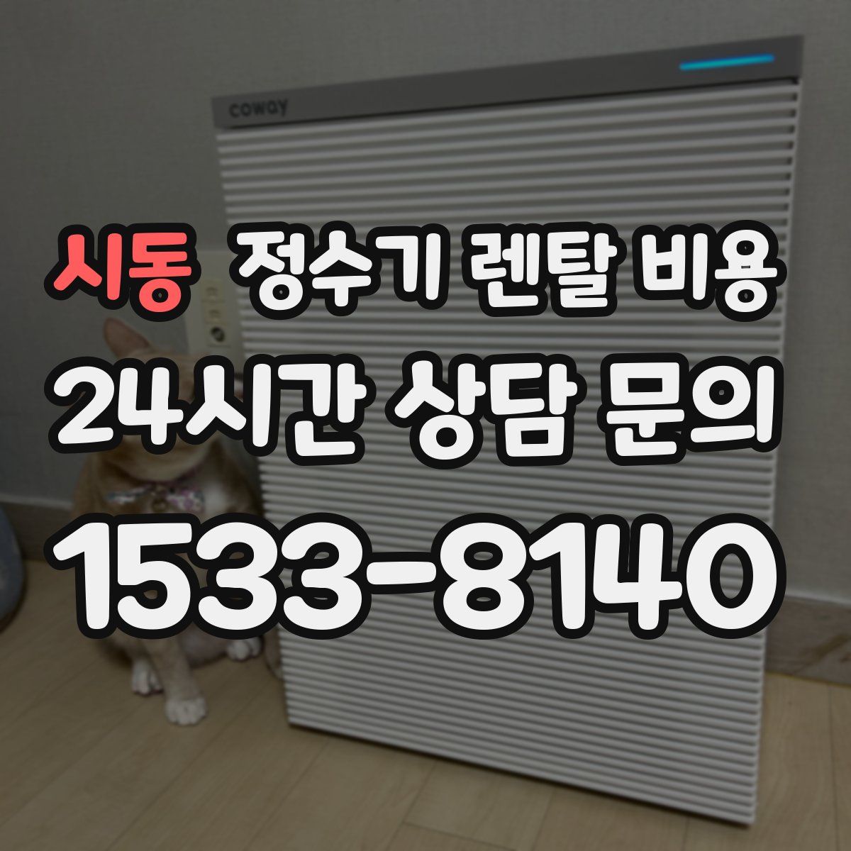 시동 정수기 렌탈 비용