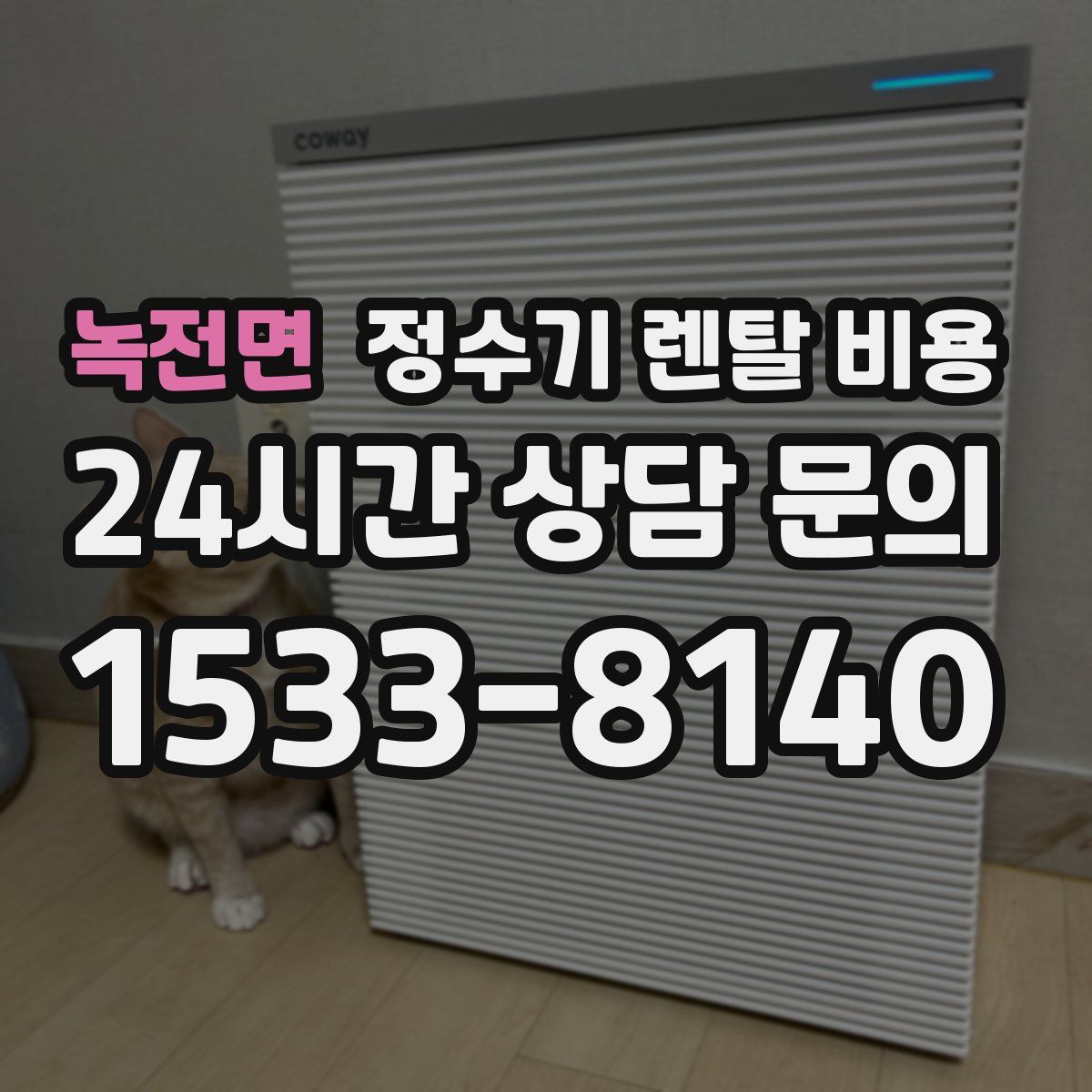 녹전면 정수기 렌탈 비용