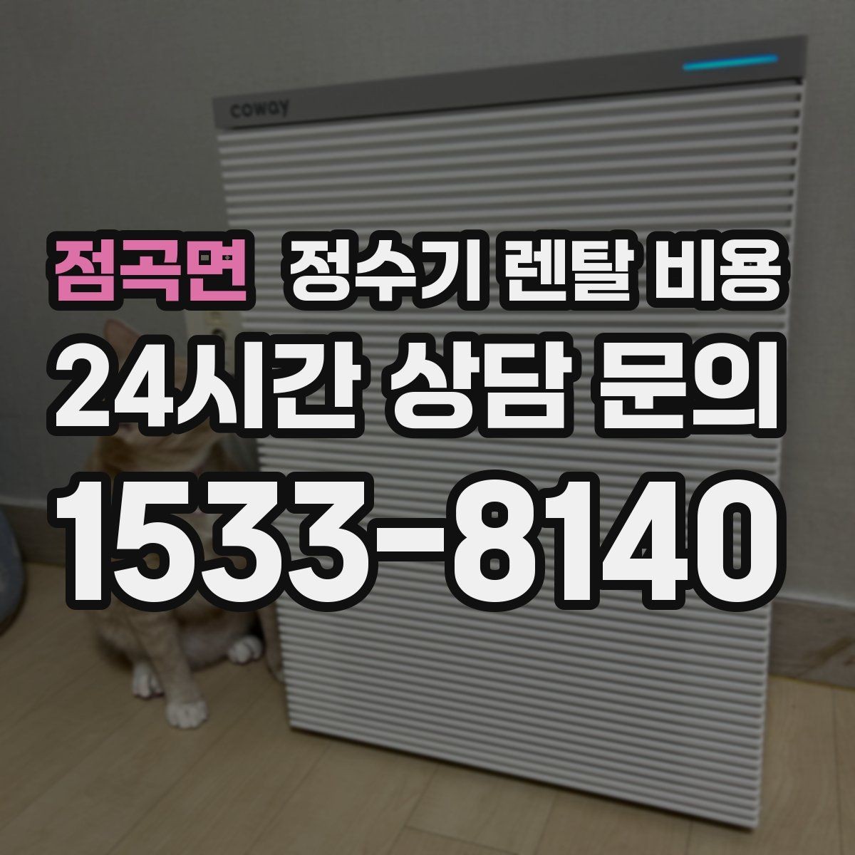 점곡면 정수기 렌탈 비용 얼음 사용량으로 고르는 방법