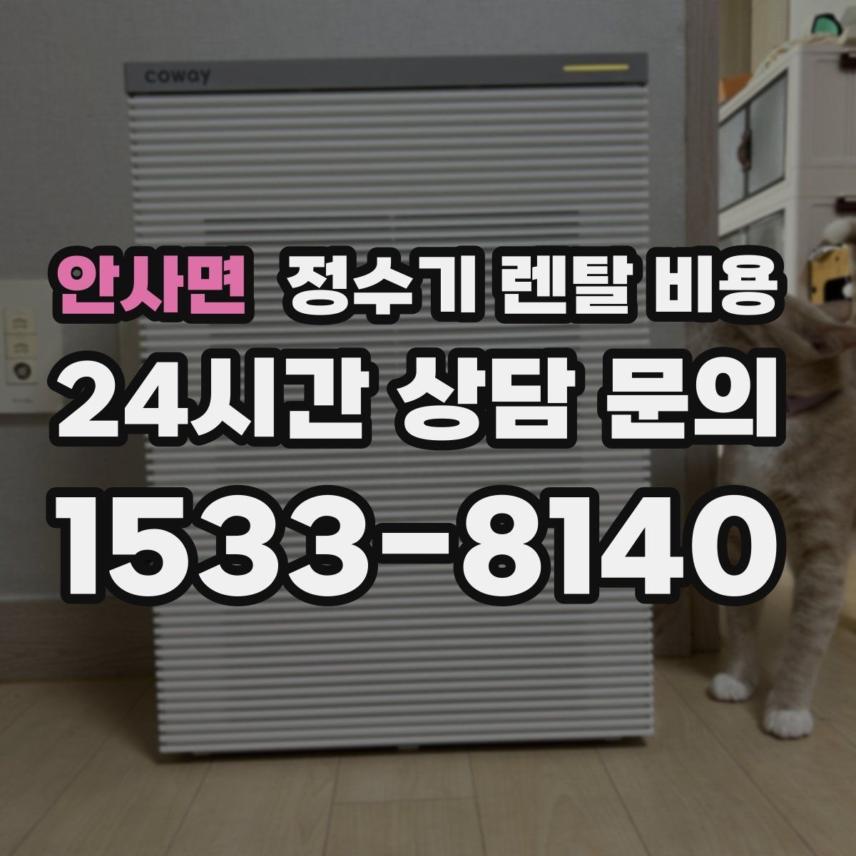 안사면 정수기 렌탈 비용 위생 민감한 집의 선택 기준 정리