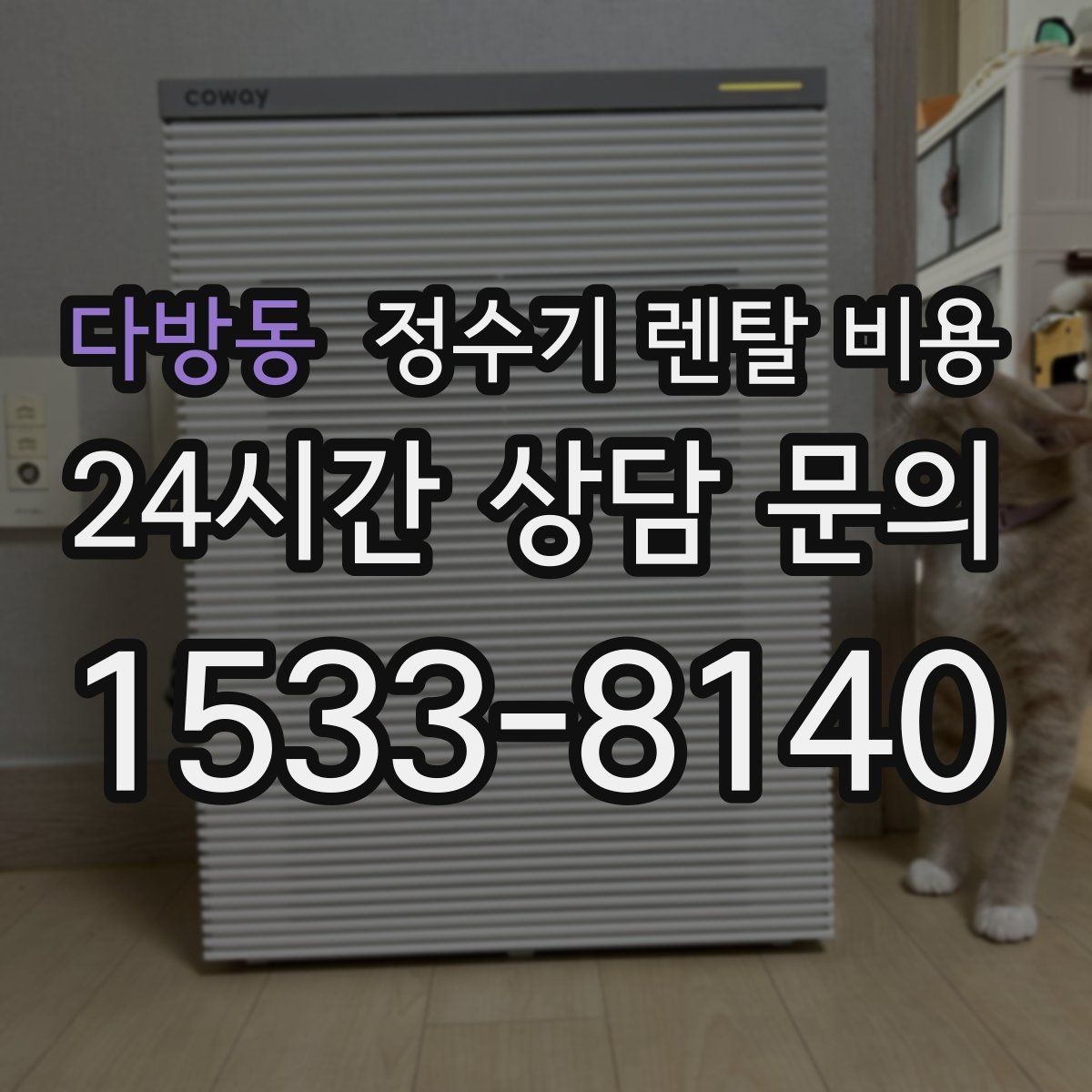 다방동 정수기 렌탈 비용 기능에 따라 달라지는 기준 정리