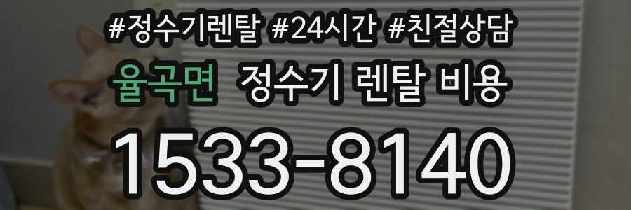 율곡면 정수기 렌탈 비용