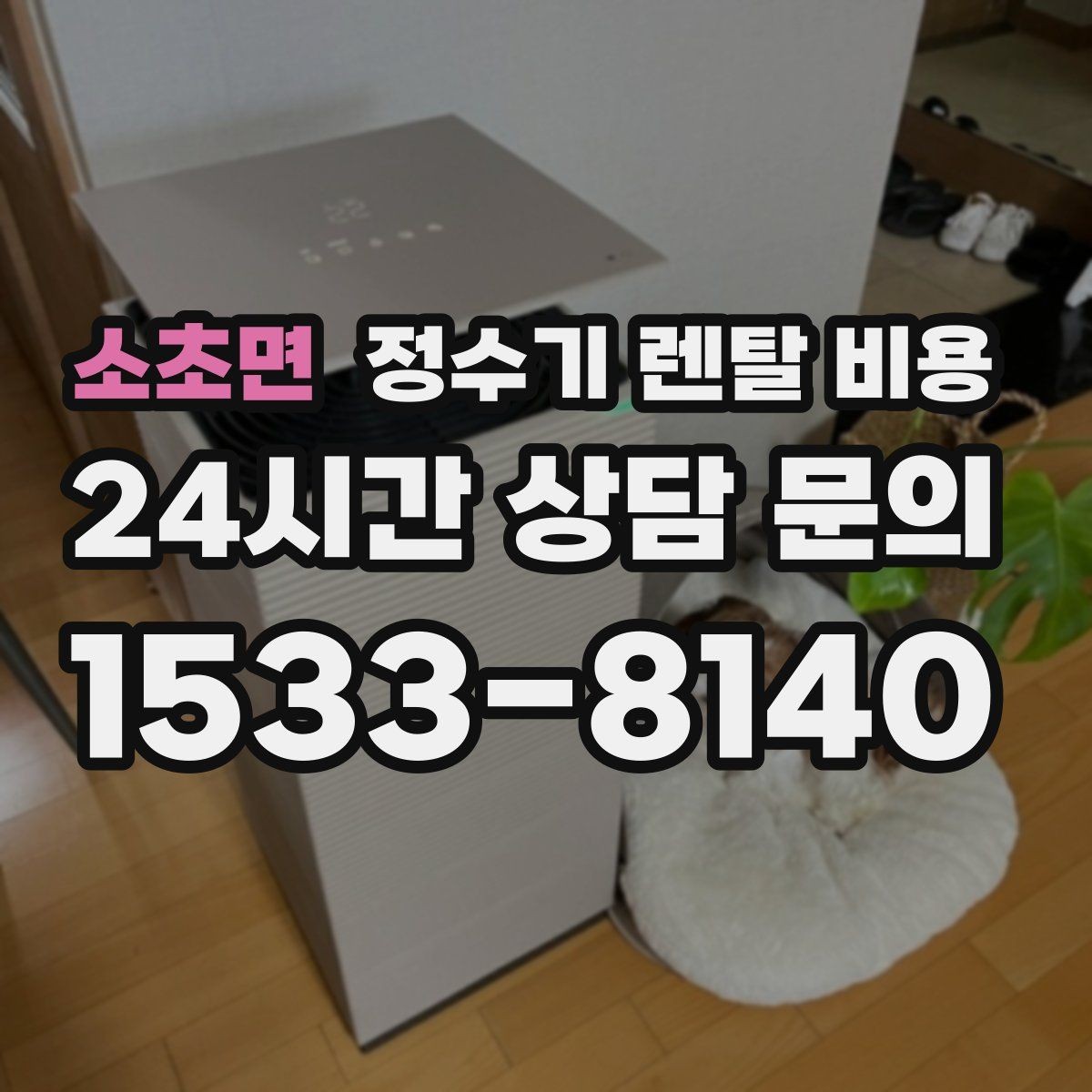 소초면 정수기 렌탈 비용 직수형이 만족도가 높은 이유는 무엇일까
