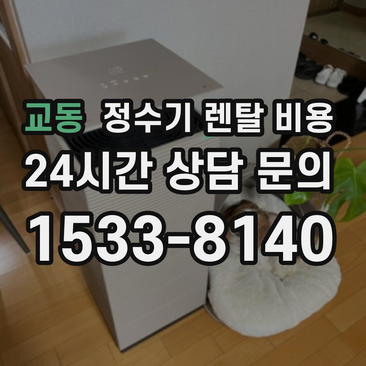 교동 정수기 렌탈 비용