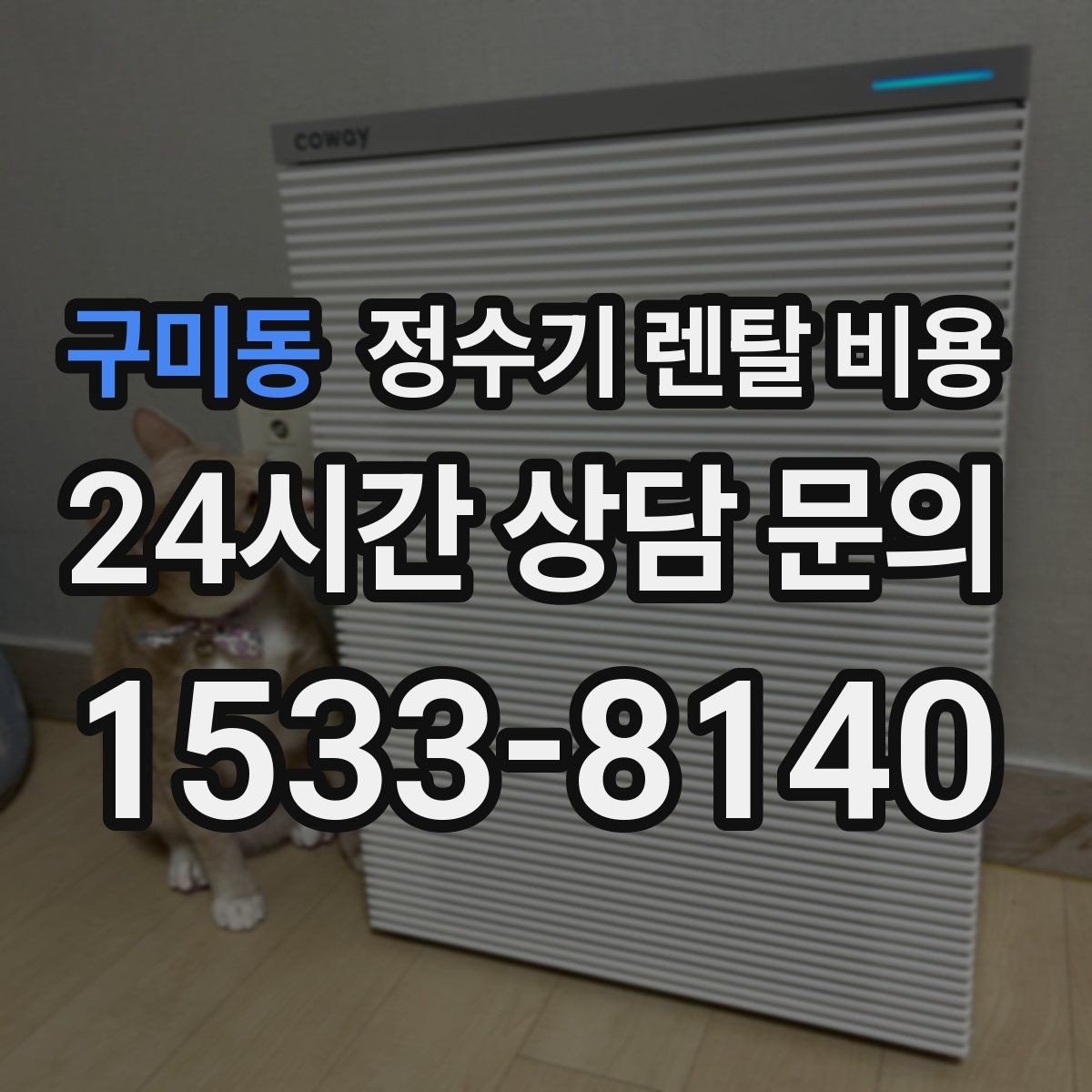 구미동 정수기 렌탈 비용 필터 직접 교체가 번거로운 경우 선택 기준