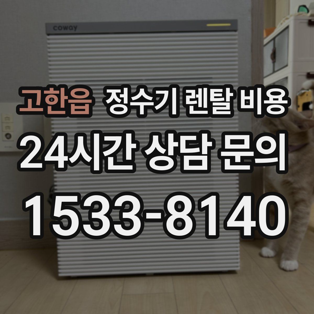 고한읍 정수기 렌탈 비용