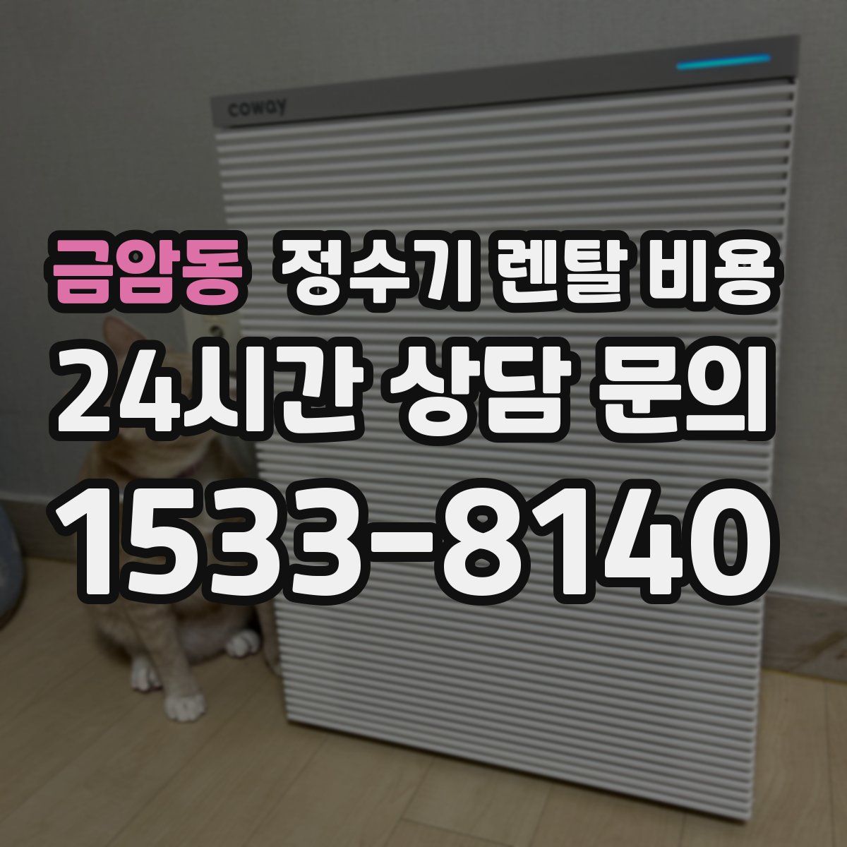 금암동 정수기 렌탈 비용