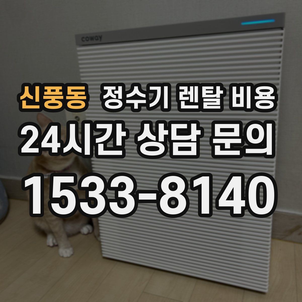 신풍동 정수기 렌탈 비용 렌탈보다 구매가 나은 경우는 언제일까