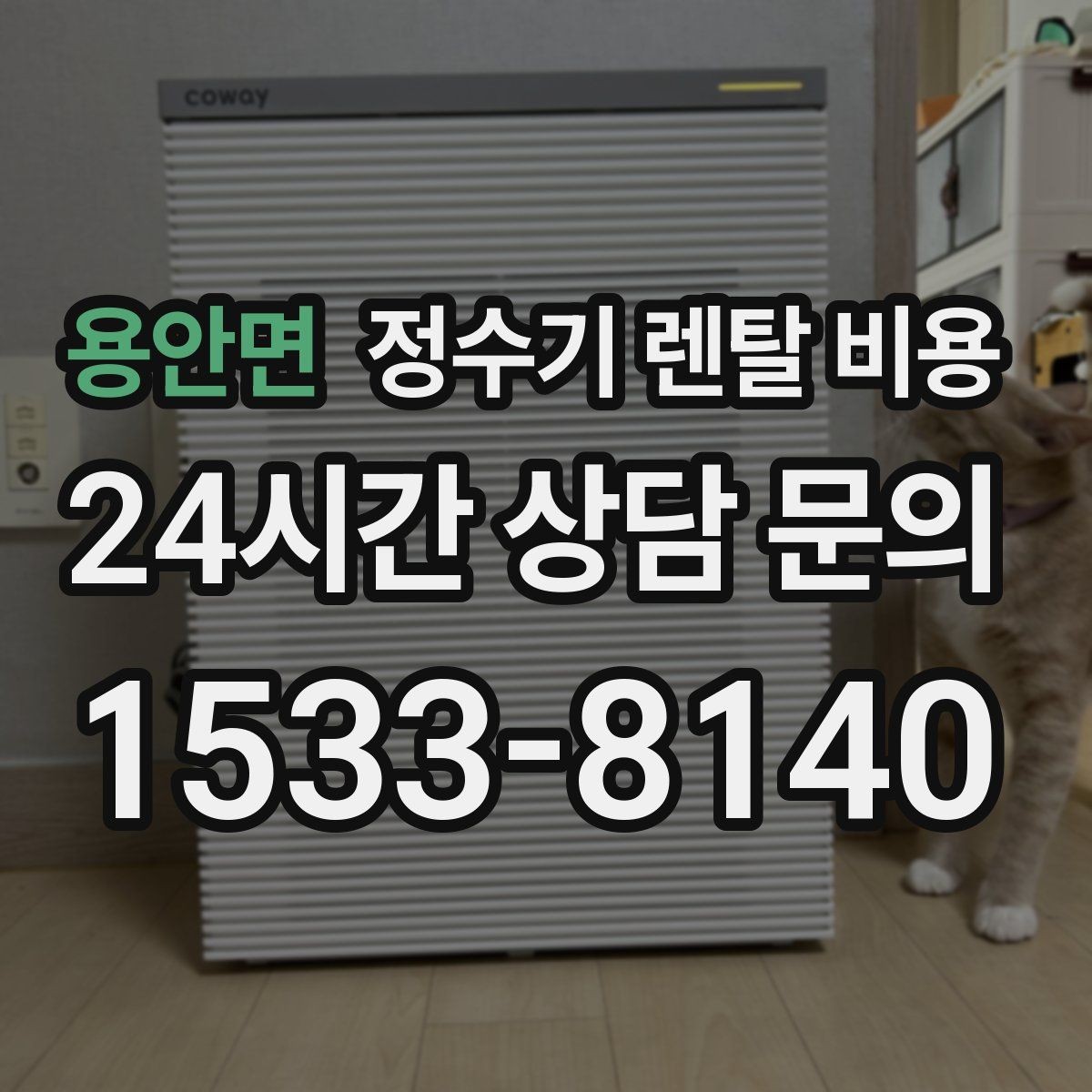 용안면 정수기 렌탈 비용 가족 단위 선택 시 고려사항