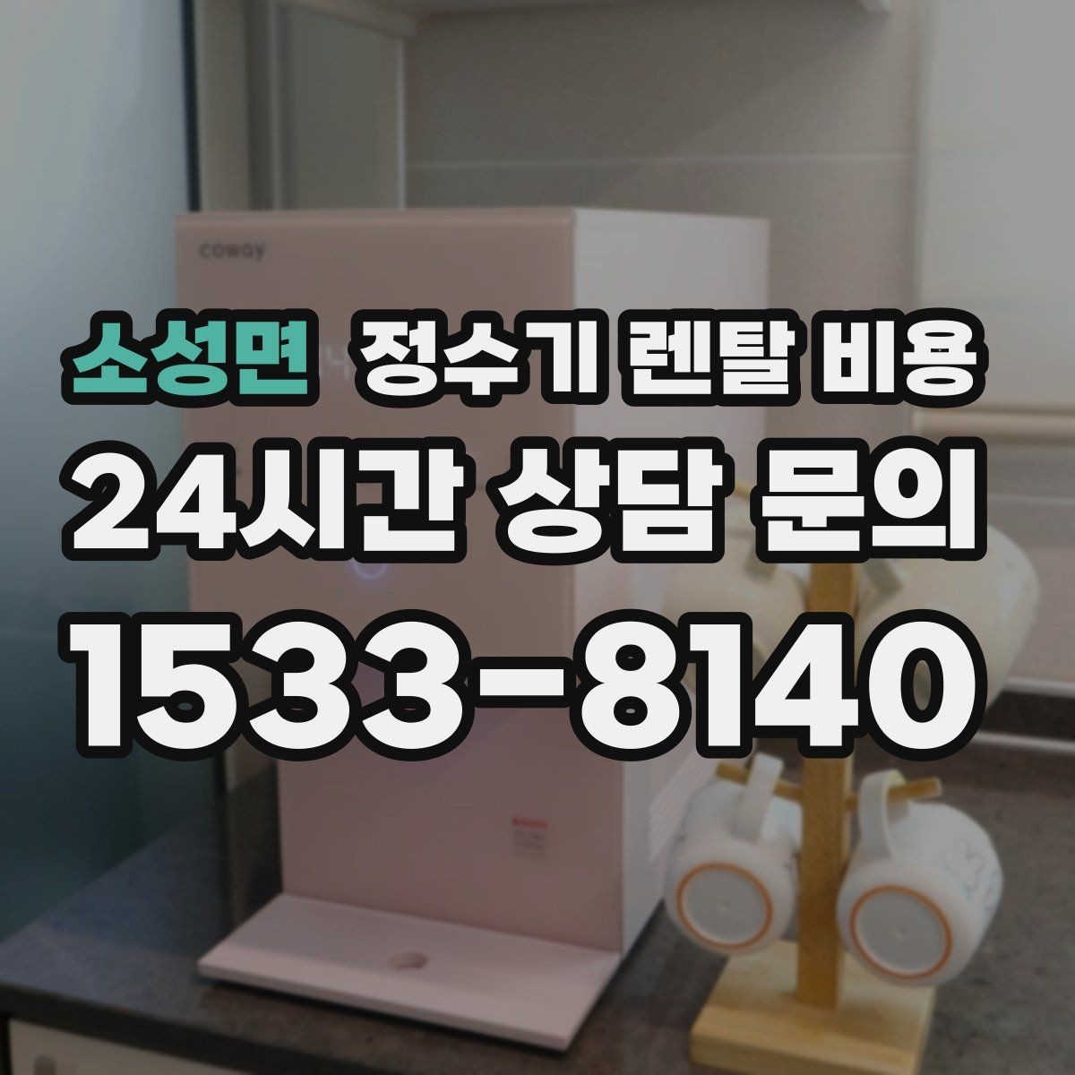소성면 정수기 렌탈 비용 프로모션 시기에 따라 달라지는 조건