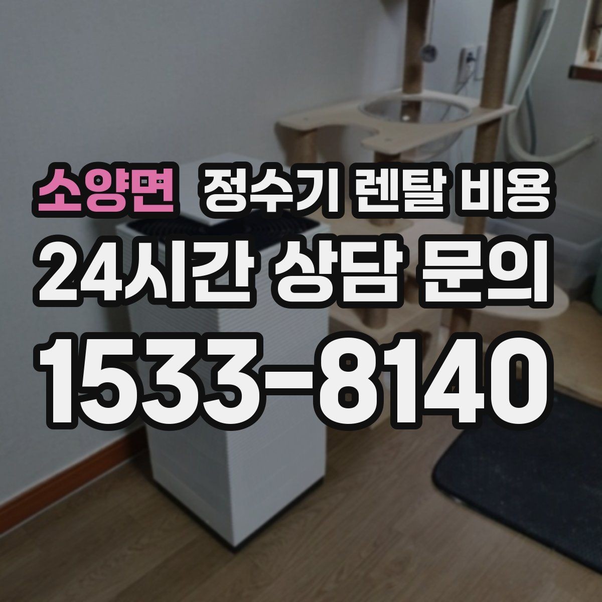 소양면 정수기 렌탈 비용 신혼부부가 따져보면 좋은 포인트