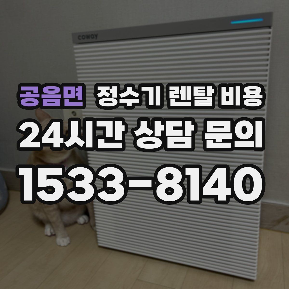 공음면 정수기 렌탈 비용 비교할 때 놓치기 쉬운 항목 정리