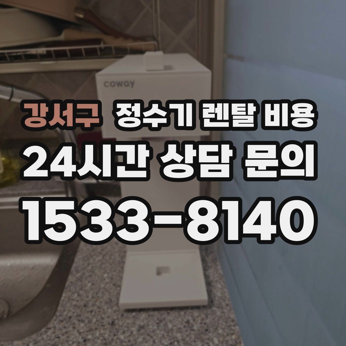 강서구 정수기 렌탈 비용 얼음 기능이 있는 모델의 특징