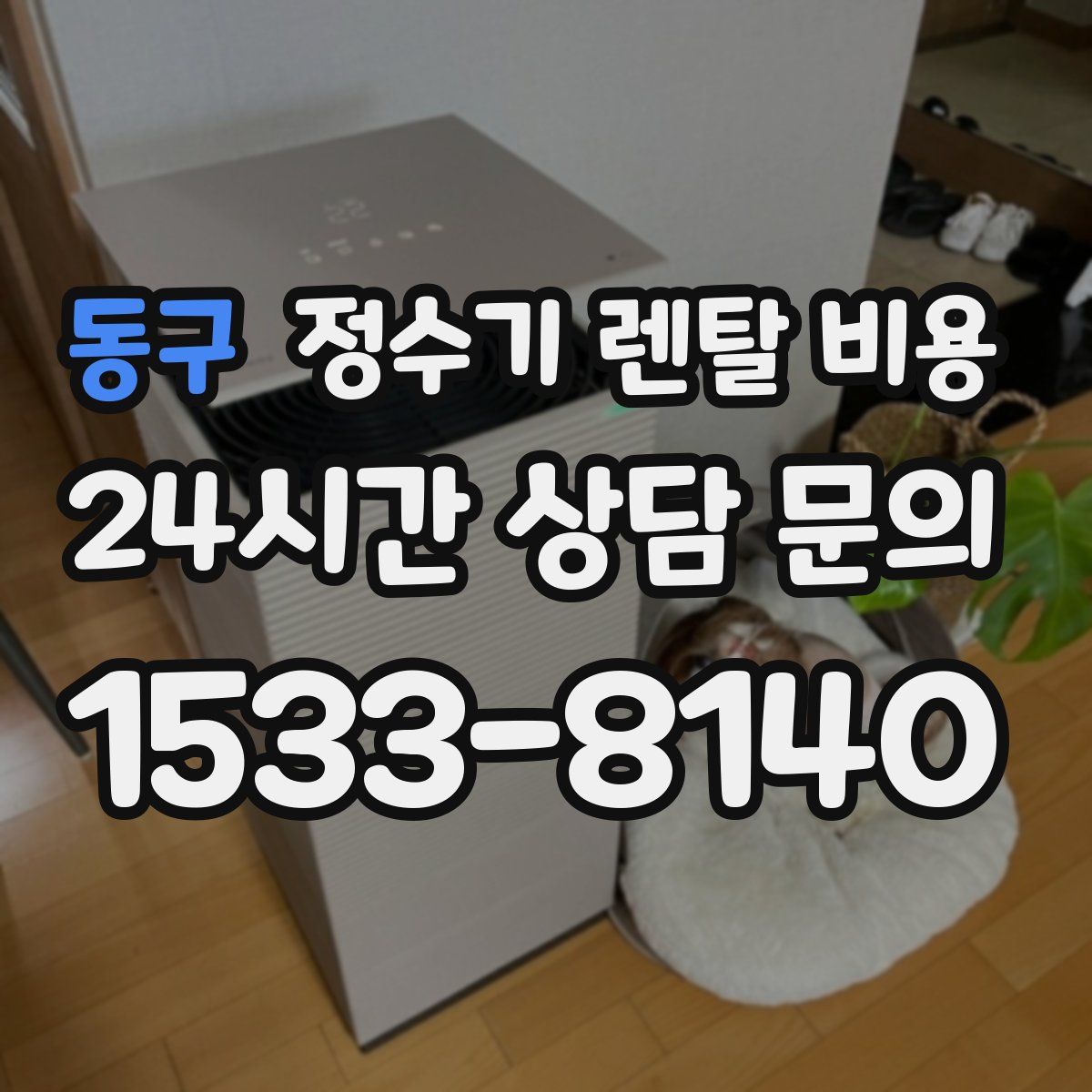 동구 정수기 렌탈 비용