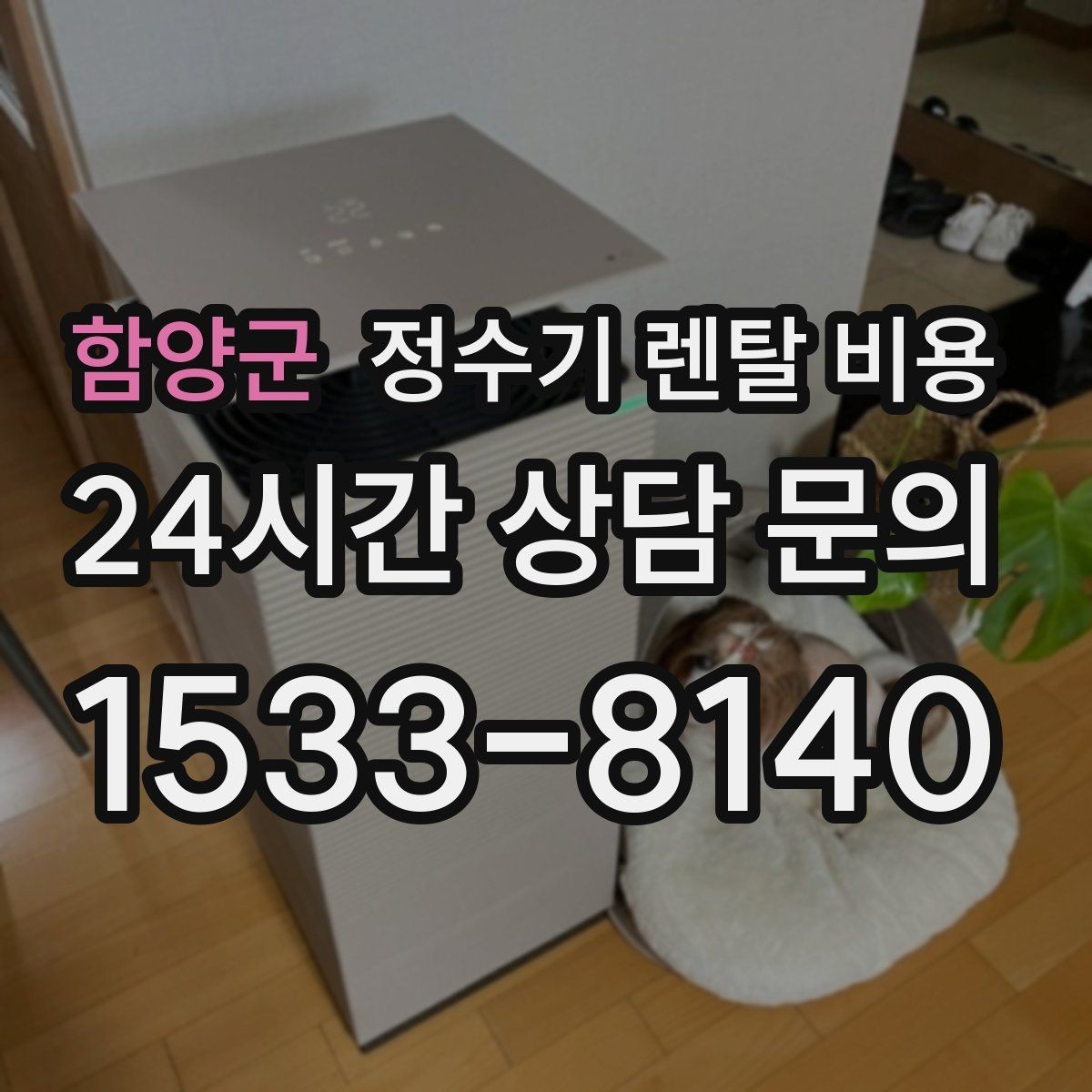 함양군 정수기 렌탈 비용 우리 집에 맞는 모델을 찾는 질문들