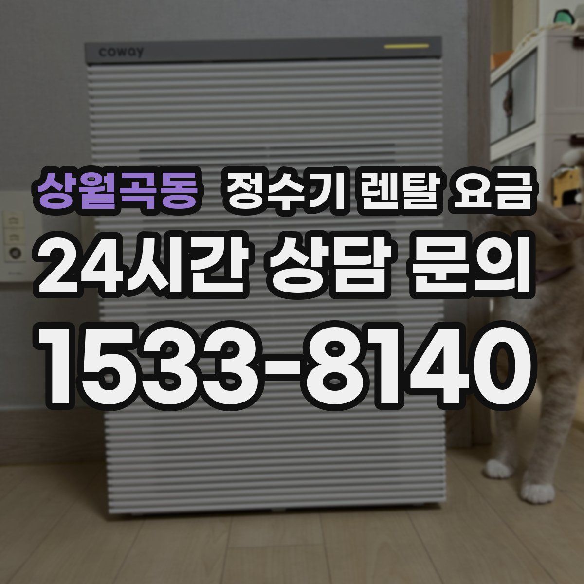 상월곡동 정수기 렌탈 요금