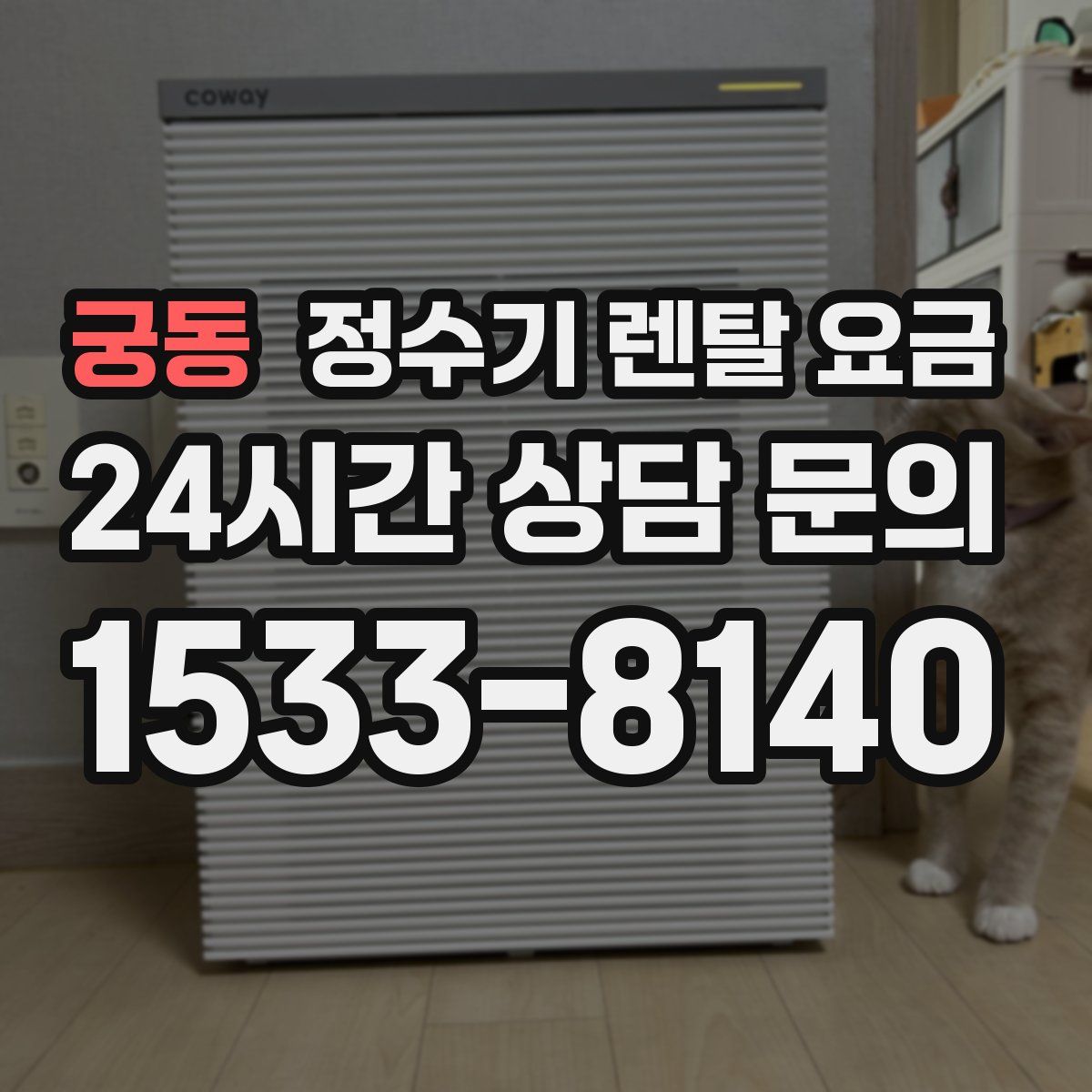 궁동 정수기 렌탈 요금