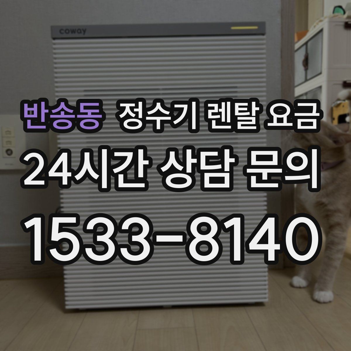 반송동 정수기 렌탈 요금 사무실용 선택 기준 정리
