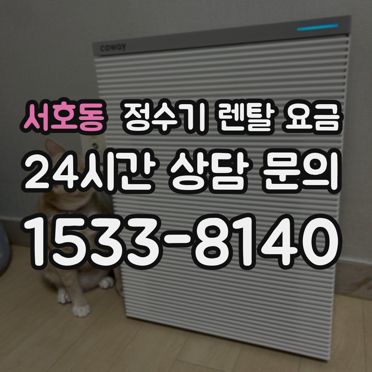 서호동 정수기 렌탈 요금