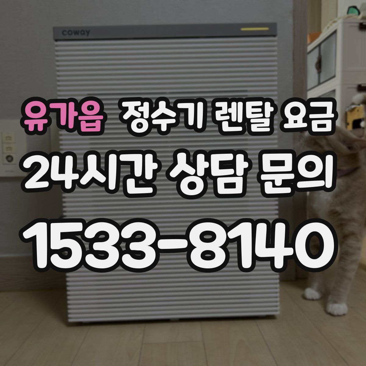 유가읍 정수기 렌탈 요금