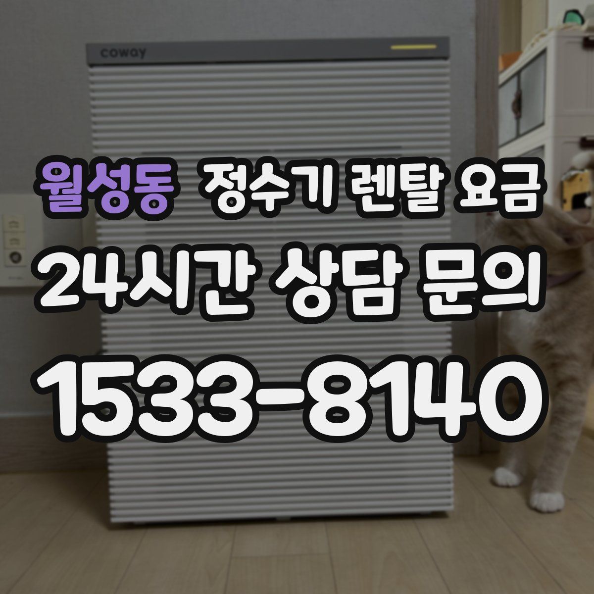 월성동 정수기 렌탈 요금