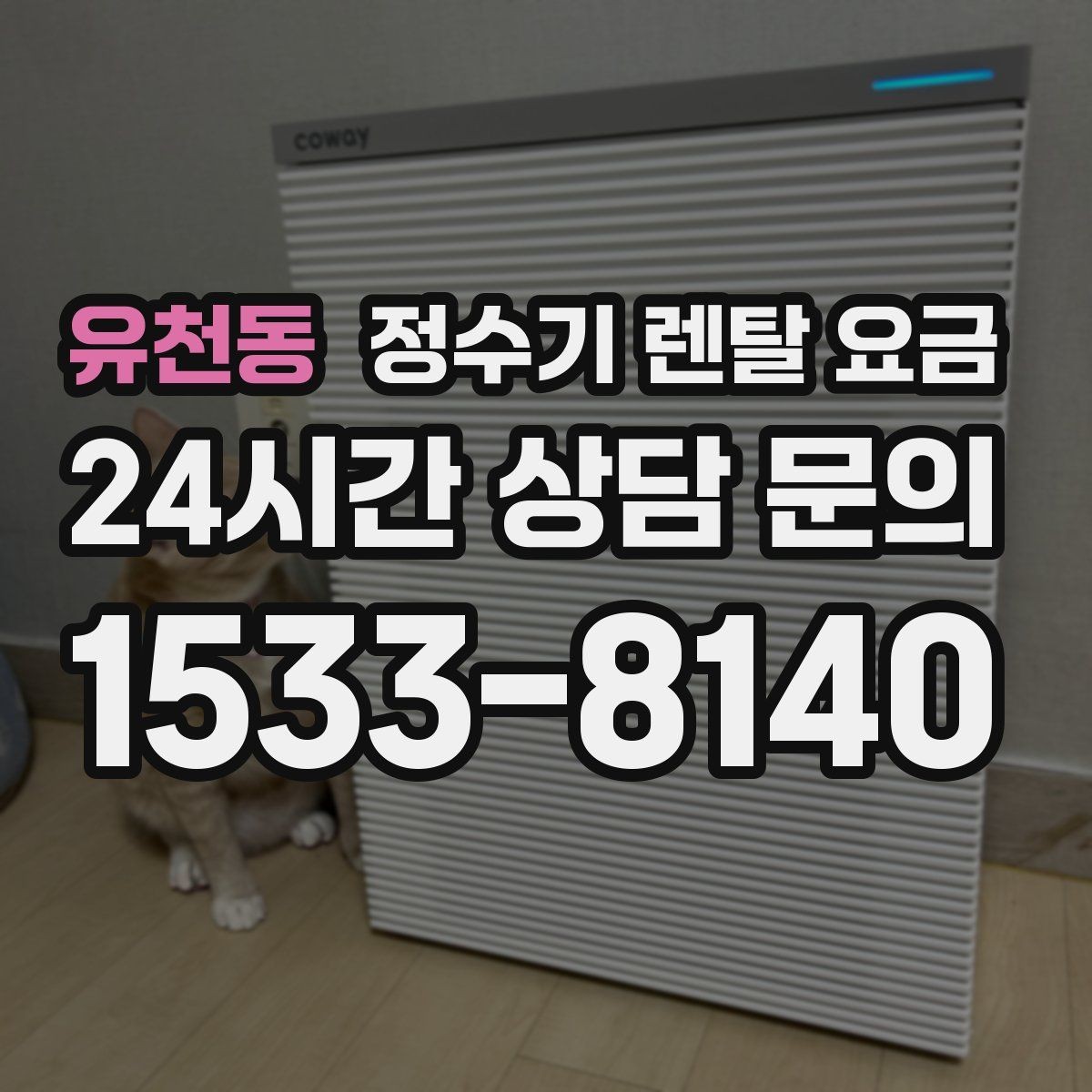 유천동 정수기 렌탈 요금 사은품보다 중요한 기준 정리