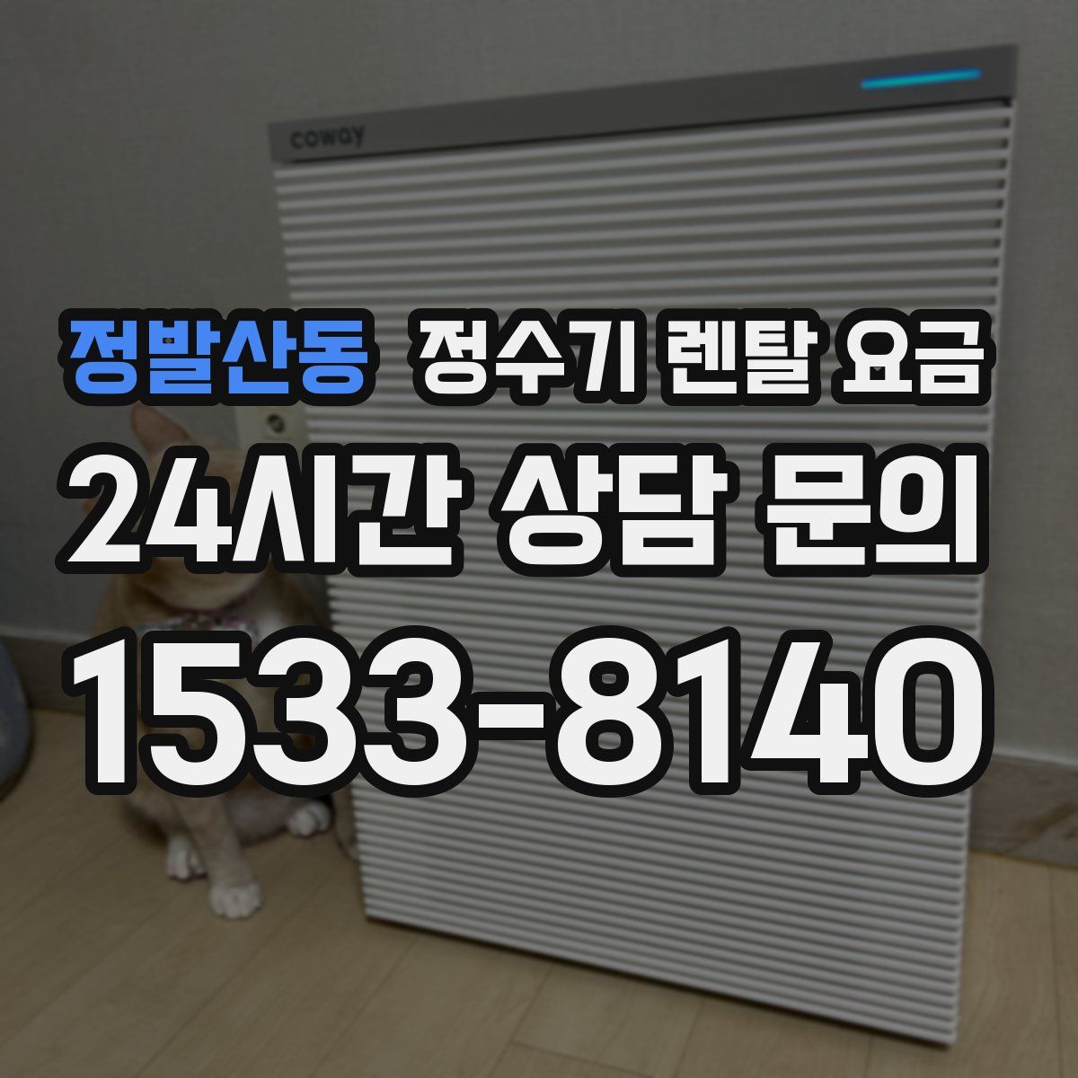 정발산동 정수기 렌탈 요금