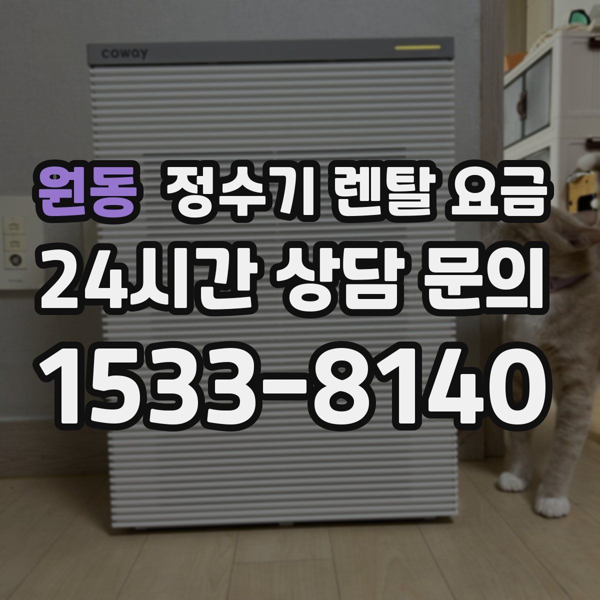 원동 정수기 렌탈 요금