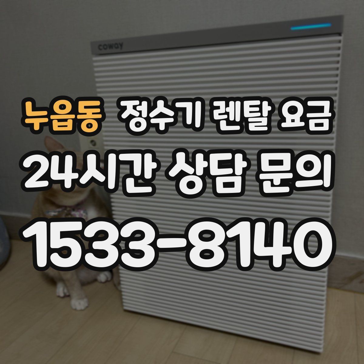 누읍동 정수기 렌탈 요금 온수 기능을 자주 쓰는 집의 선택 기준