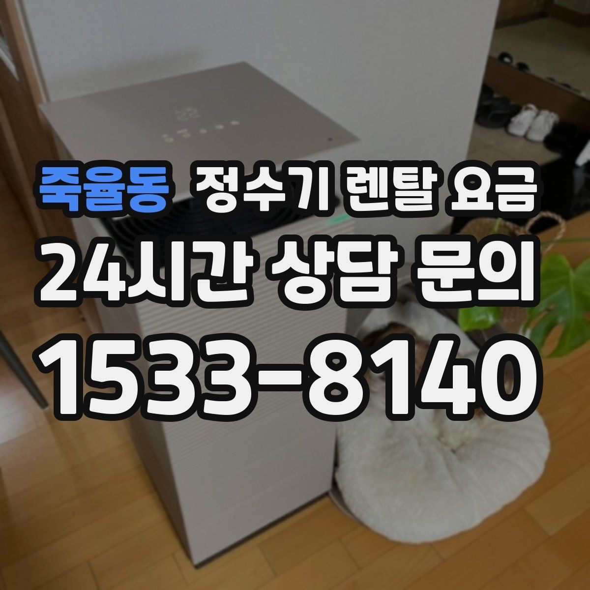 죽율동 정수기 렌탈 요금 직수형과 저수조형 차이 한눈에 보기