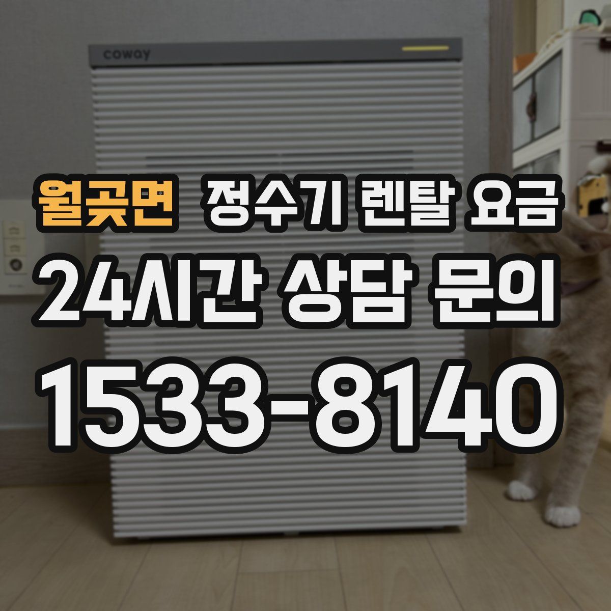 월곶면 정수기 렌탈 요금