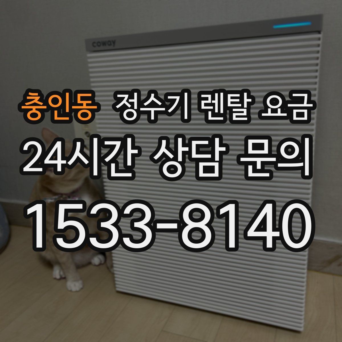 충인동 정수기 렌탈 요금 얼음 사용량으로 고르는 방법