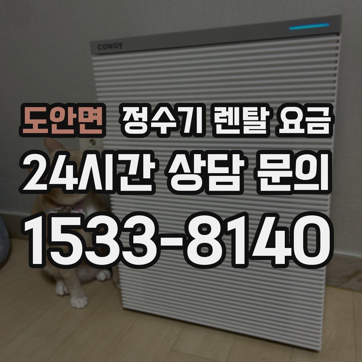 도안면 정수기 렌탈 요금