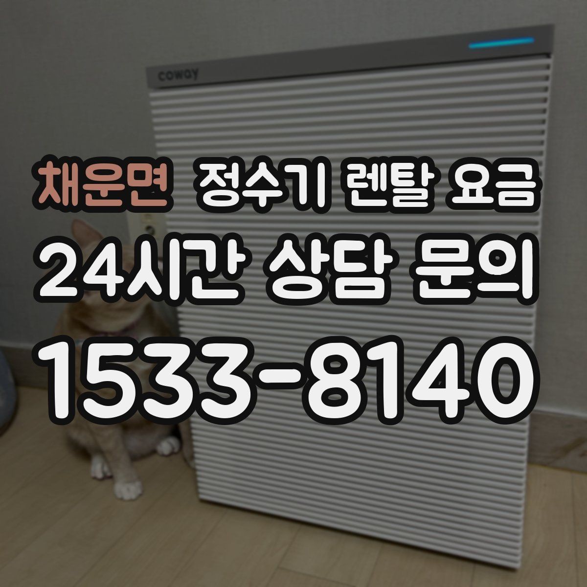 채운면 정수기 렌탈 요금 위생 민감한 집의 선택 기준 정리