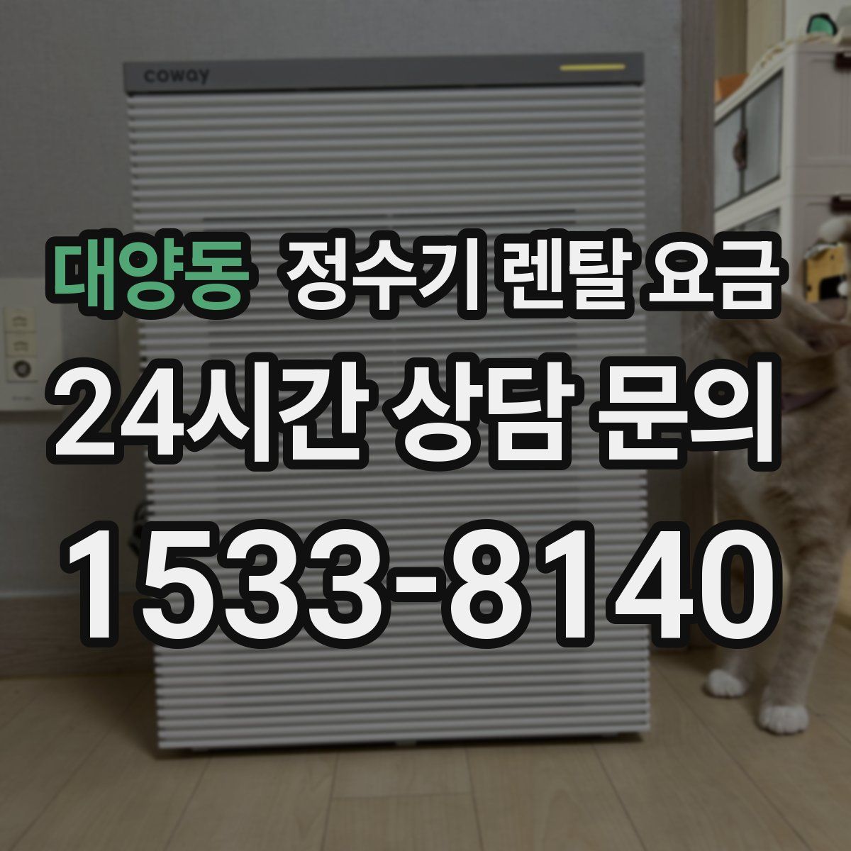 대양동 정수기 렌탈 요금