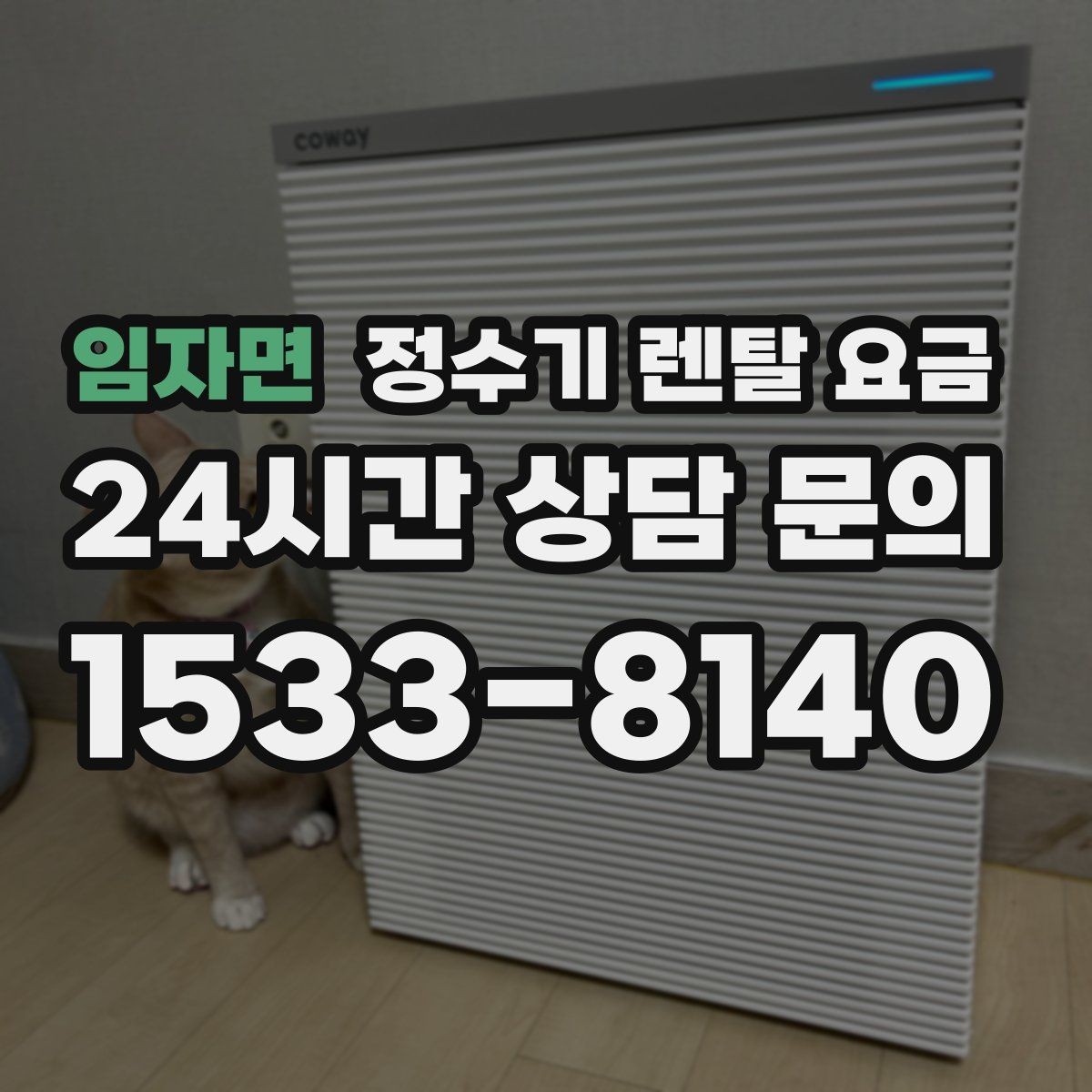 임자면 정수기 렌탈 요금 보급형으로도 충분한 집의 특징