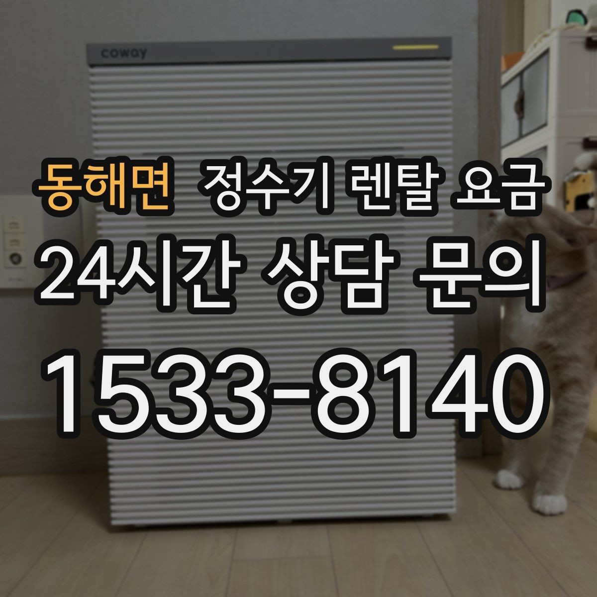 동해면 정수기 렌탈 요금 실패 없는 선택을 위한 가이드