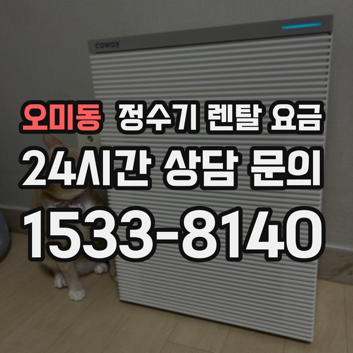 오미동 정수기 렌탈 요금 실속형 제품 고를 때 기준 정리