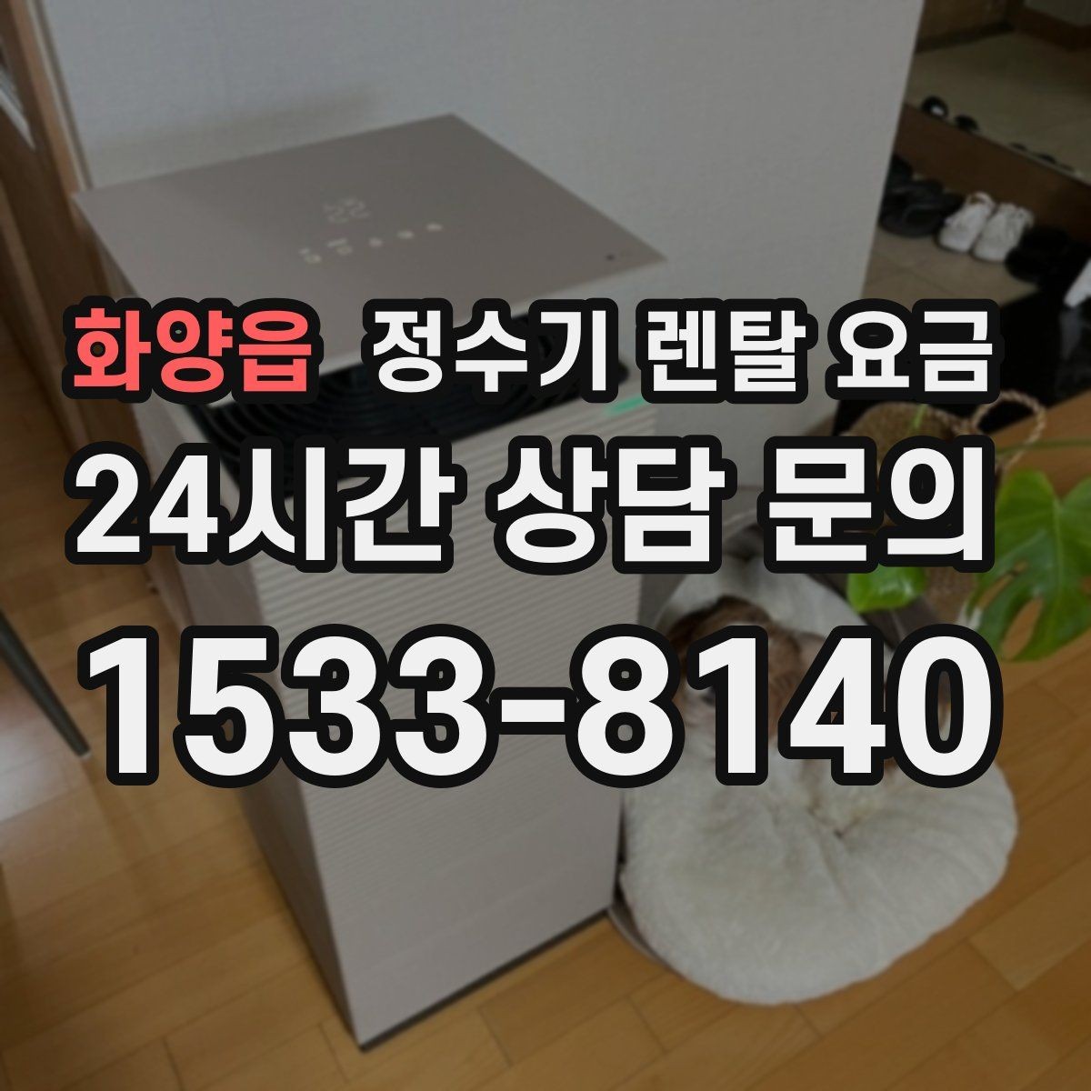 화양읍 정수기 렌탈 요금 브랜드 변경을 고민할 때 체크할 포인트