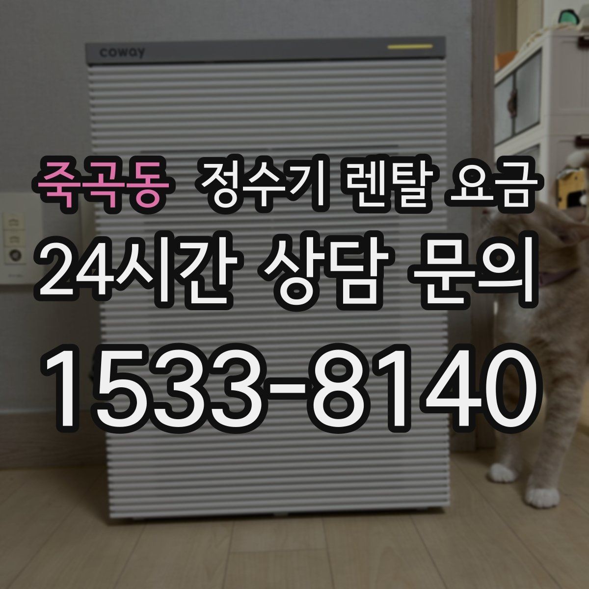 죽곡동 정수기 렌탈 요금 필터 비용 포함 여부 확인하기