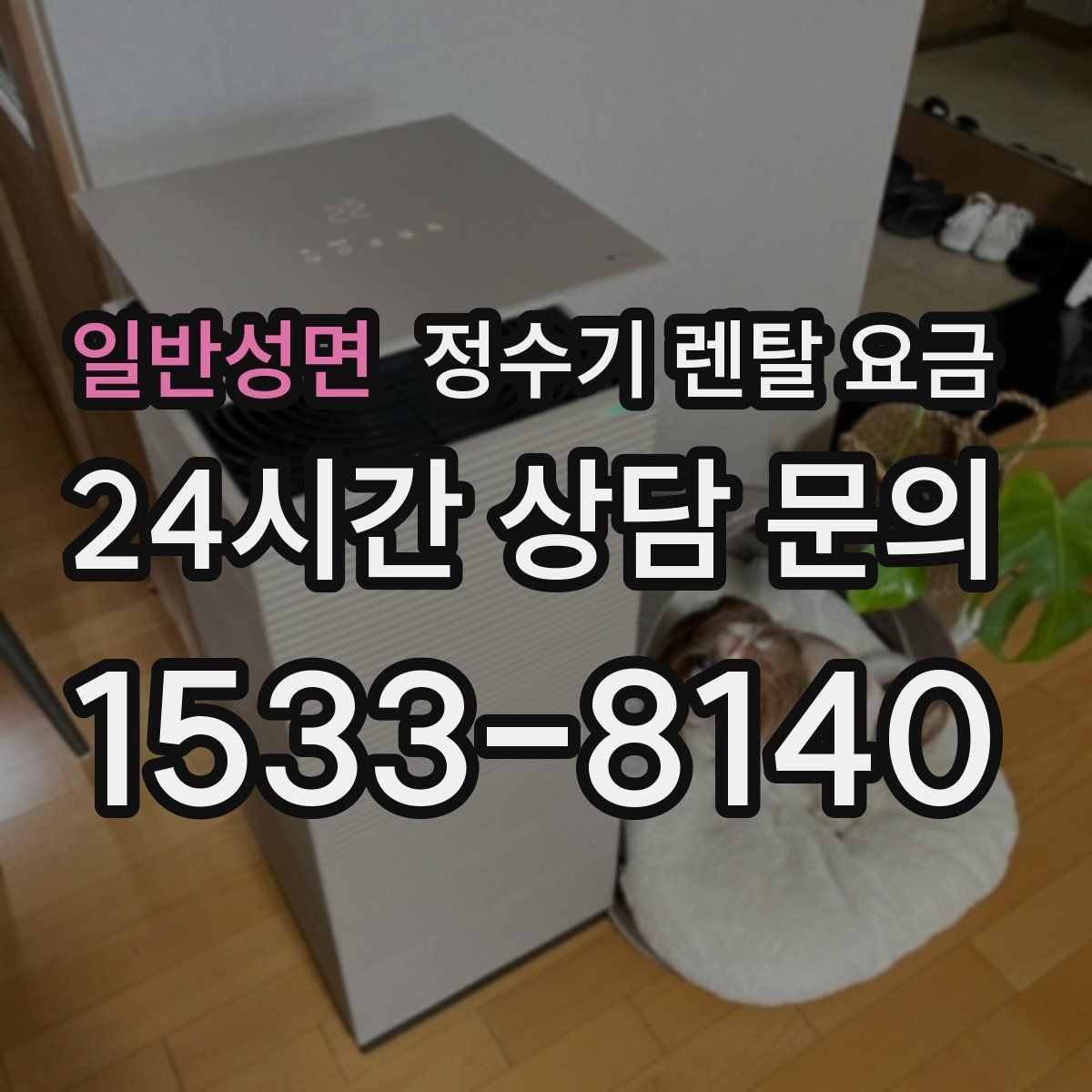일반성면 정수기 렌탈 요금 디자인만 보고 고르면 생기는 아쉬움