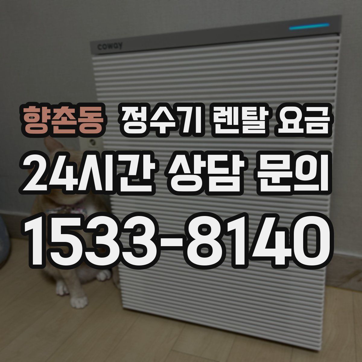 향촌동 정수기 렌탈 요금