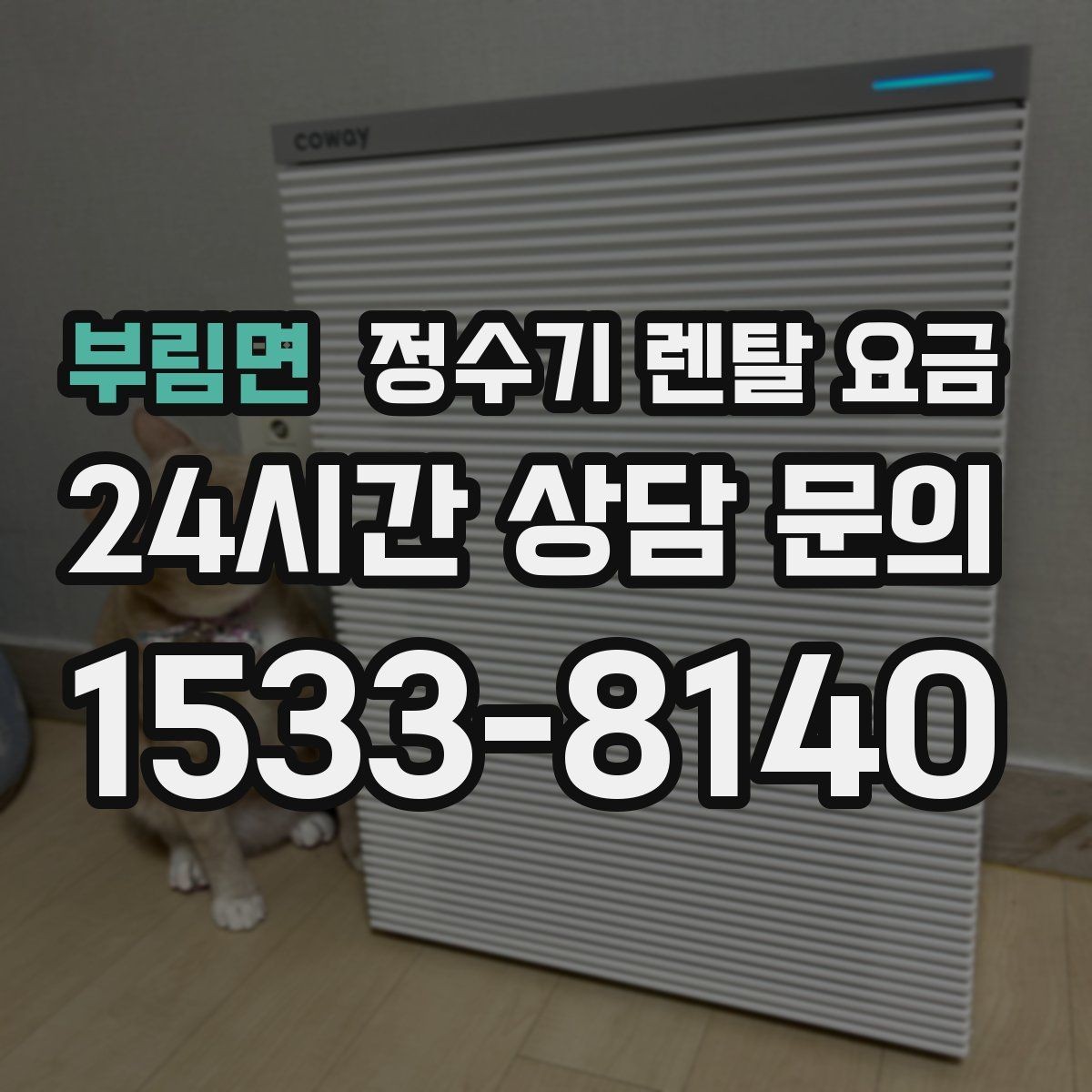 부림면 정수기 렌탈 요금 가장 많이 비교하는 항목 정리