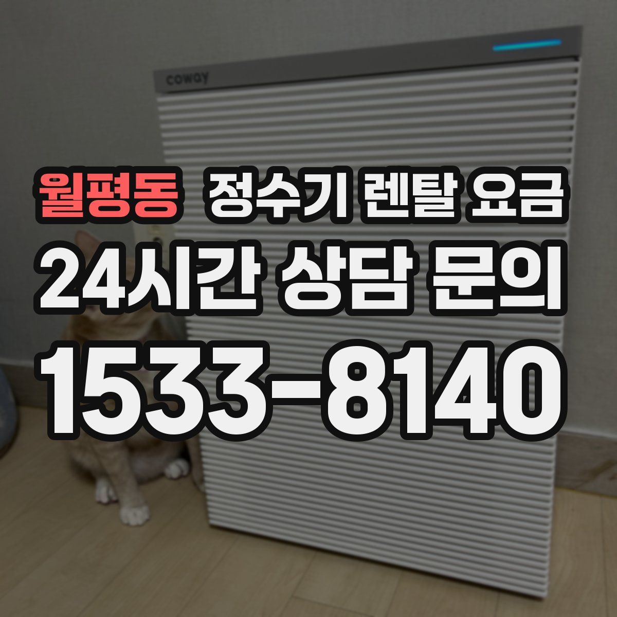 월평동 정수기 렌탈 요금