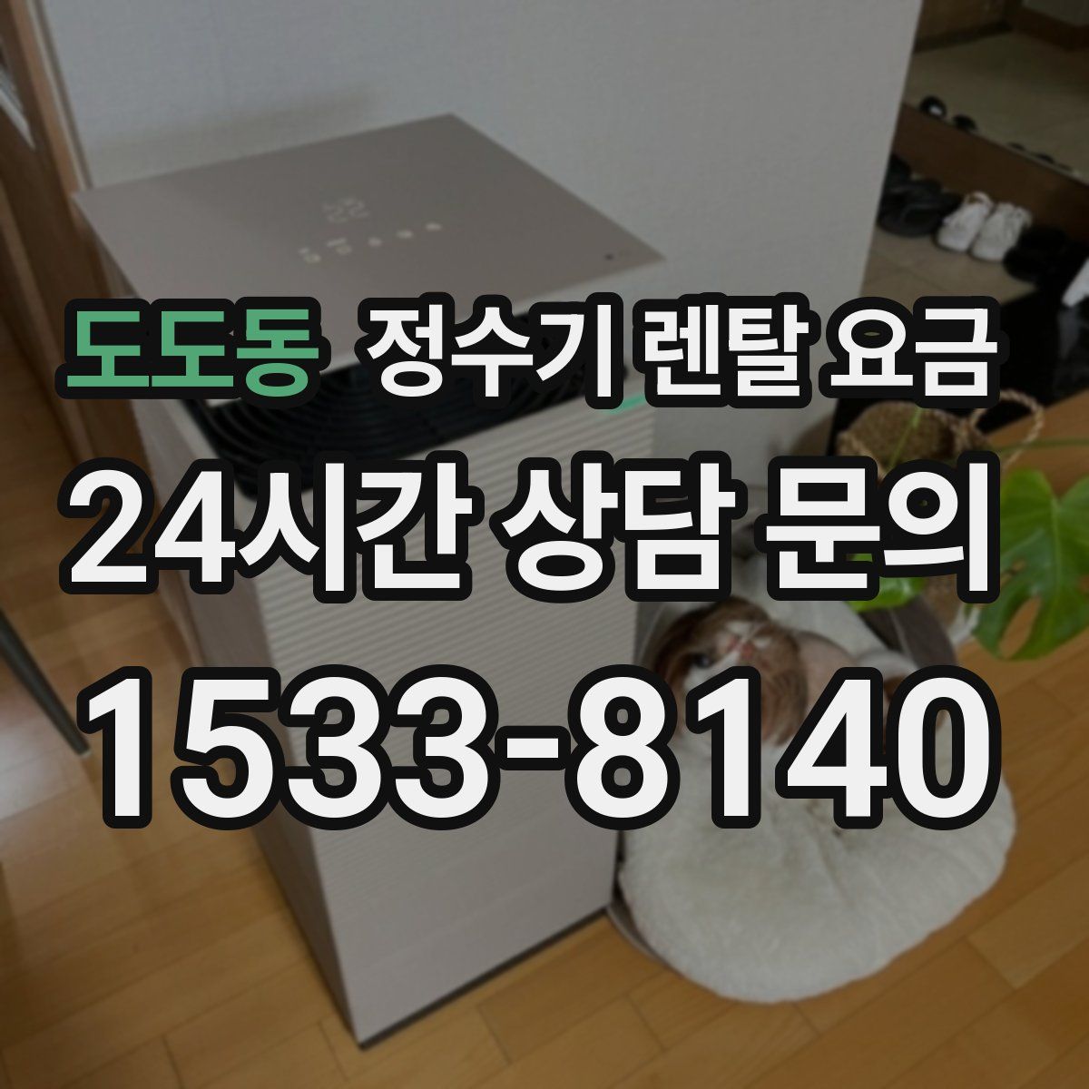 도도동 정수기 렌탈 요금