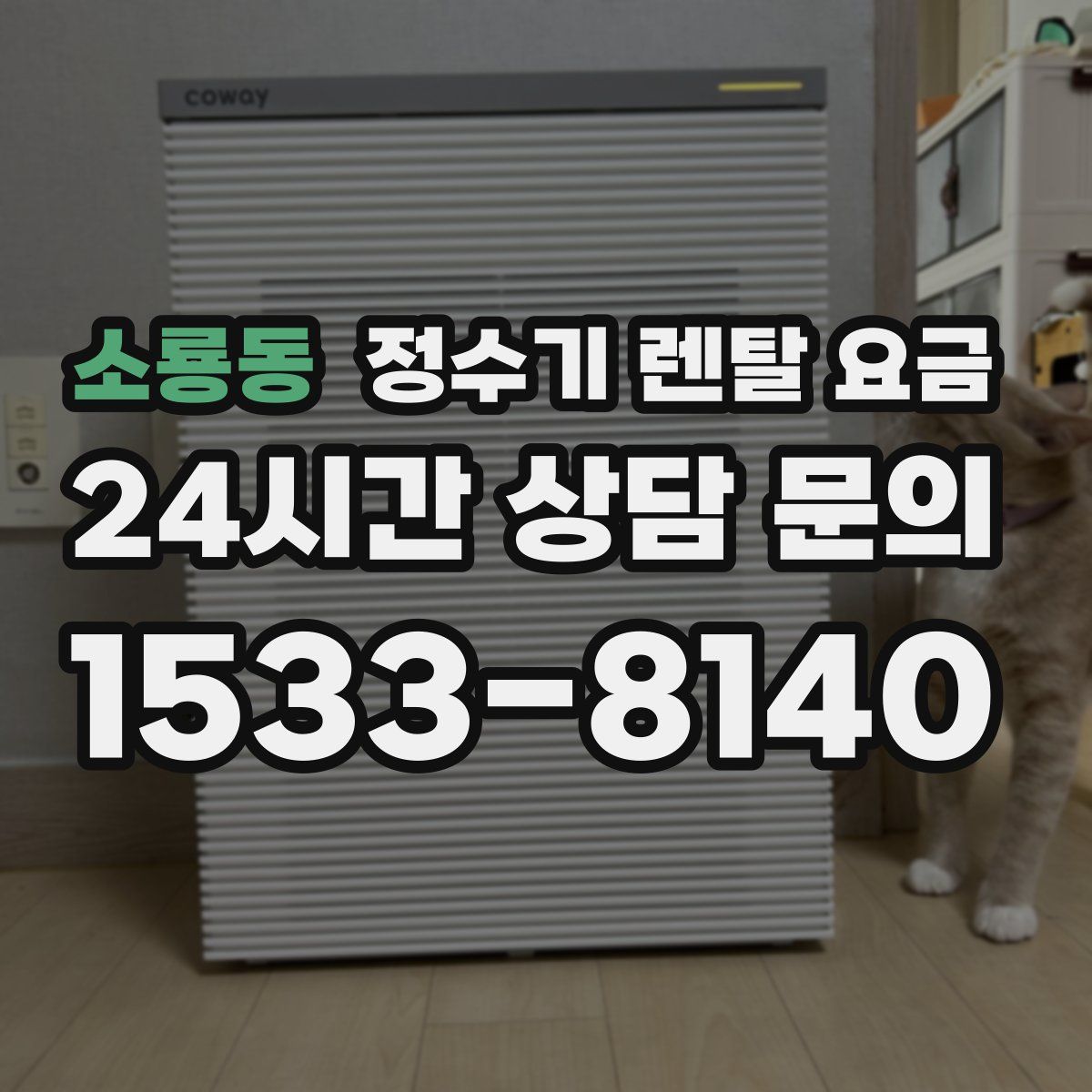 소룡동 정수기 렌탈 요금