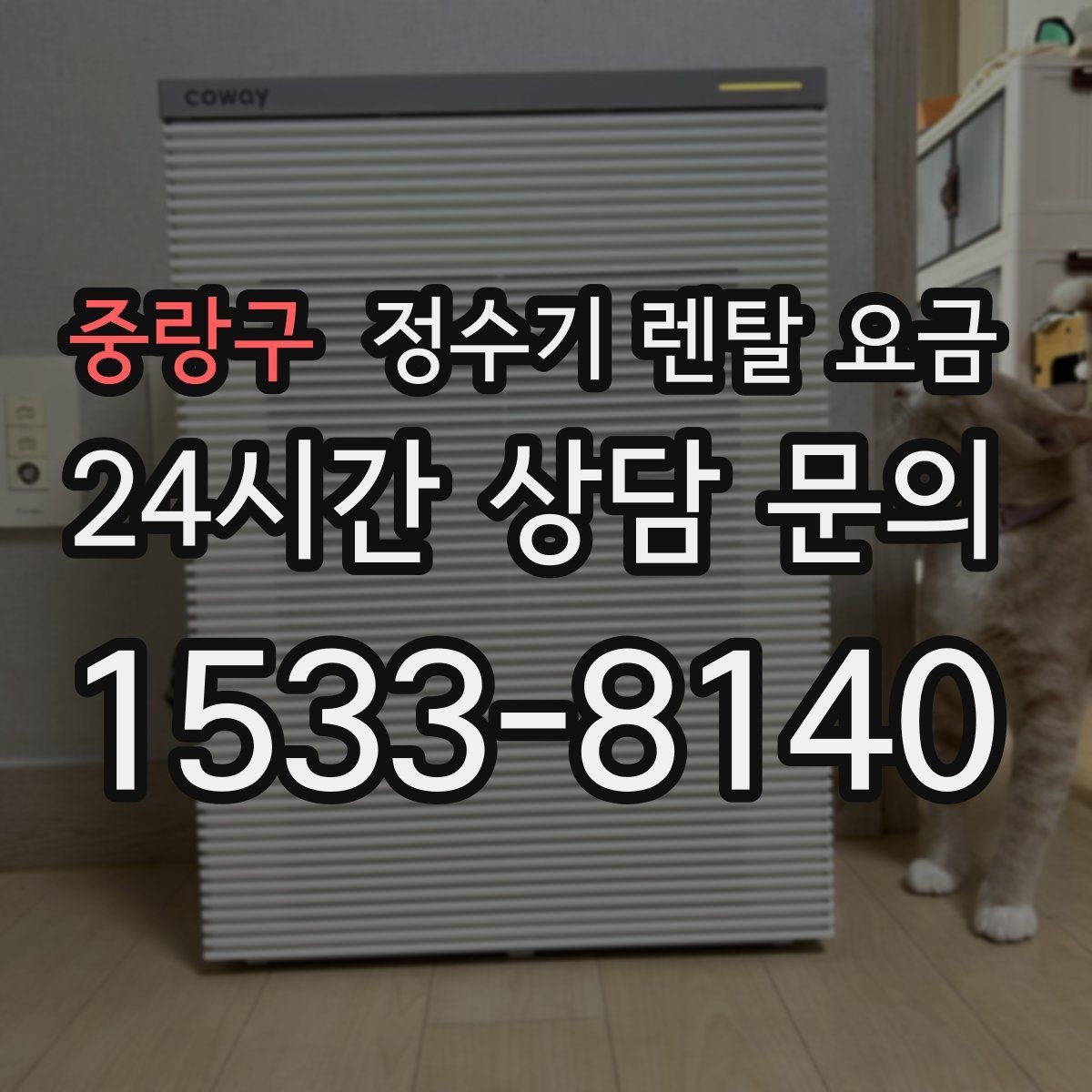 중랑구 정수기 렌탈 요금 오프라인 매장 상담이 필요한 경우